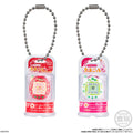 Tamagotchi Collection Wave 1 Shokugan Blind-Box Key Chain Case of 12