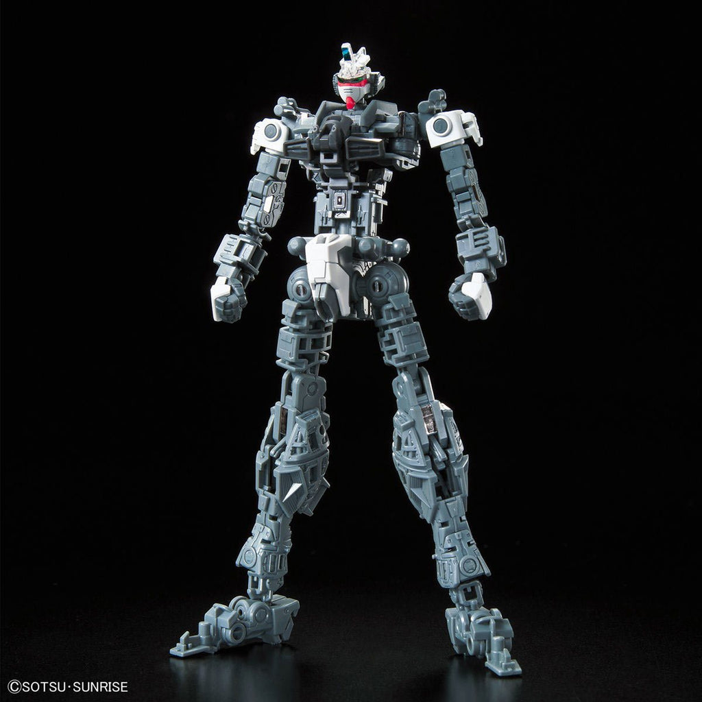 Mobile Suit Gundam Seed Destiny Force Impulse Gundam Real Grade 1:144 Scale Model Kit