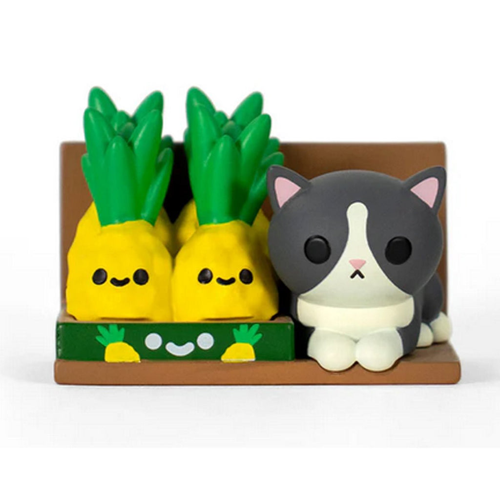 Bodega Kitties Series 2 Mystery Box Display Tray of 6