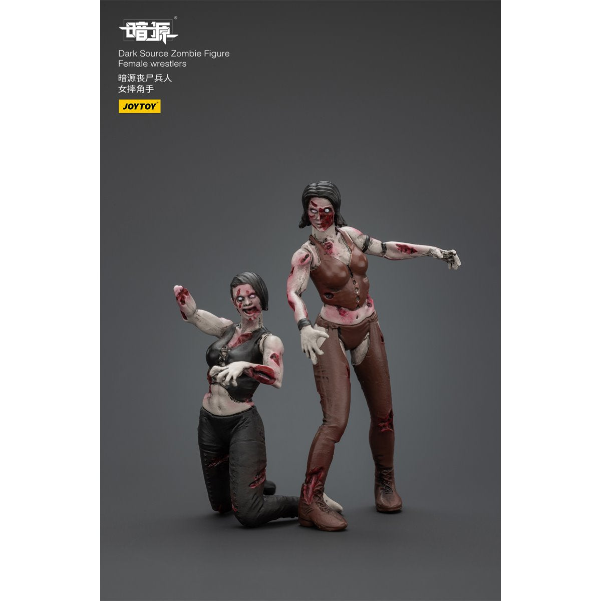 Joy Toy Dark Source Zombie Female Wrestler 1:25 Scale Action Figure 2-Pack