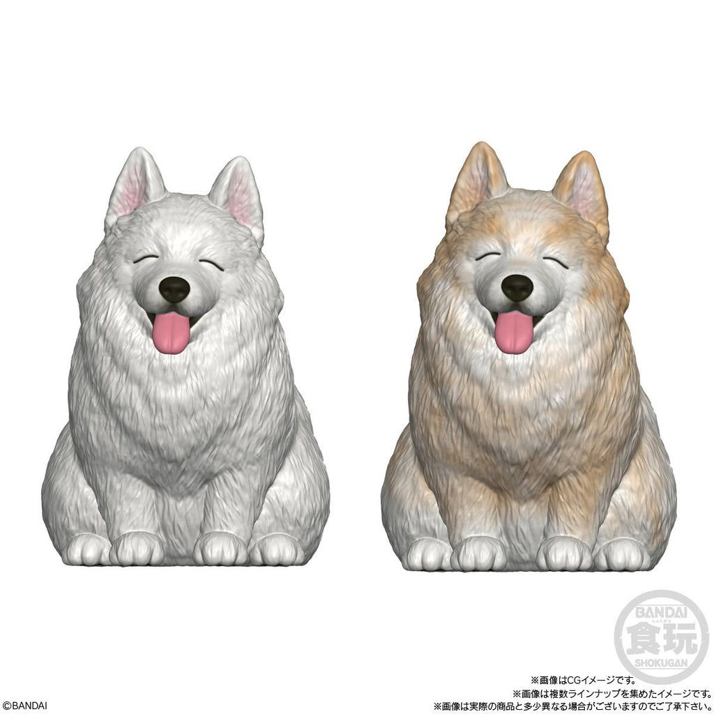 Mocchiri Kororin Dogs Mini-Figure Case of 12