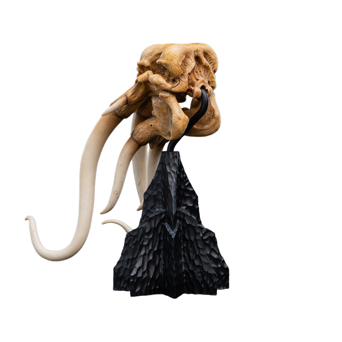 The Lord of the Rings Trilogy Skull of a Mumak Statue