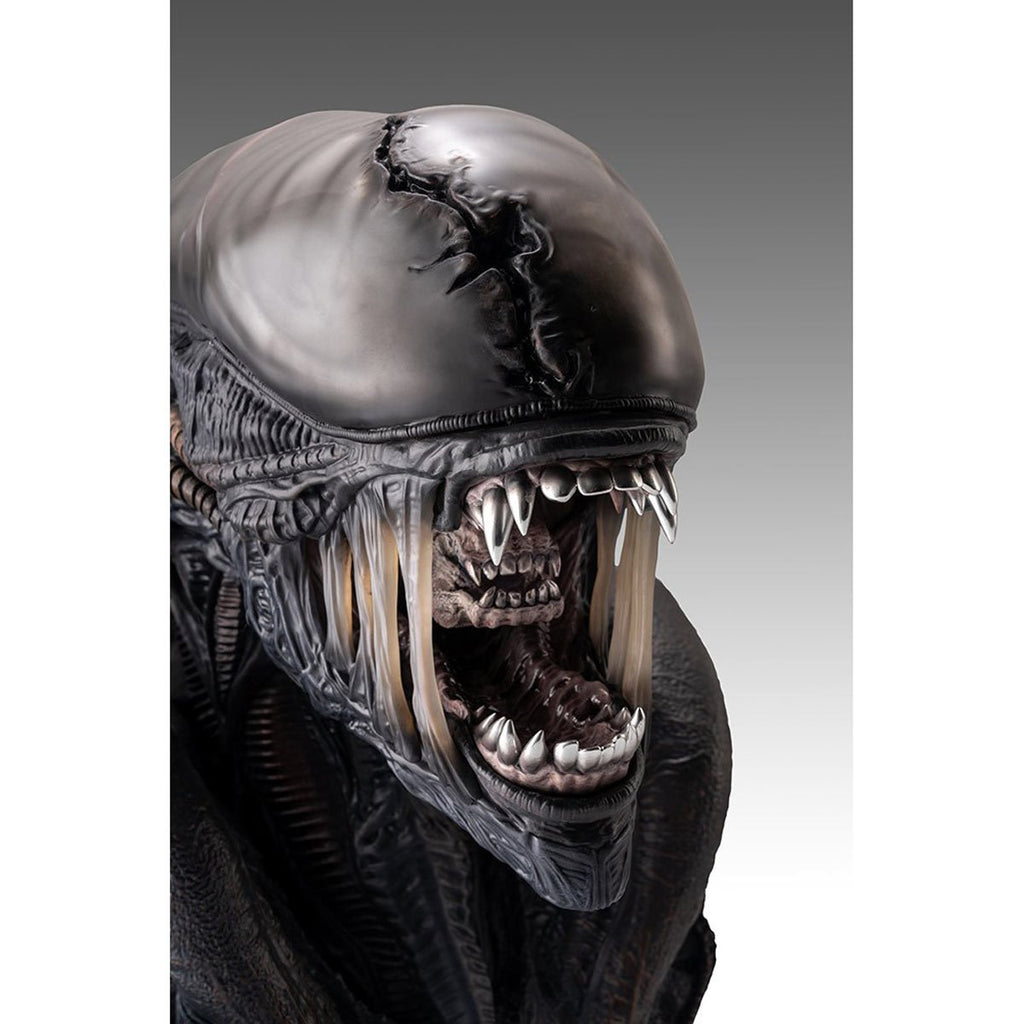Alien Romulus Xenomorph 1:1 Scale Life-Size Bust