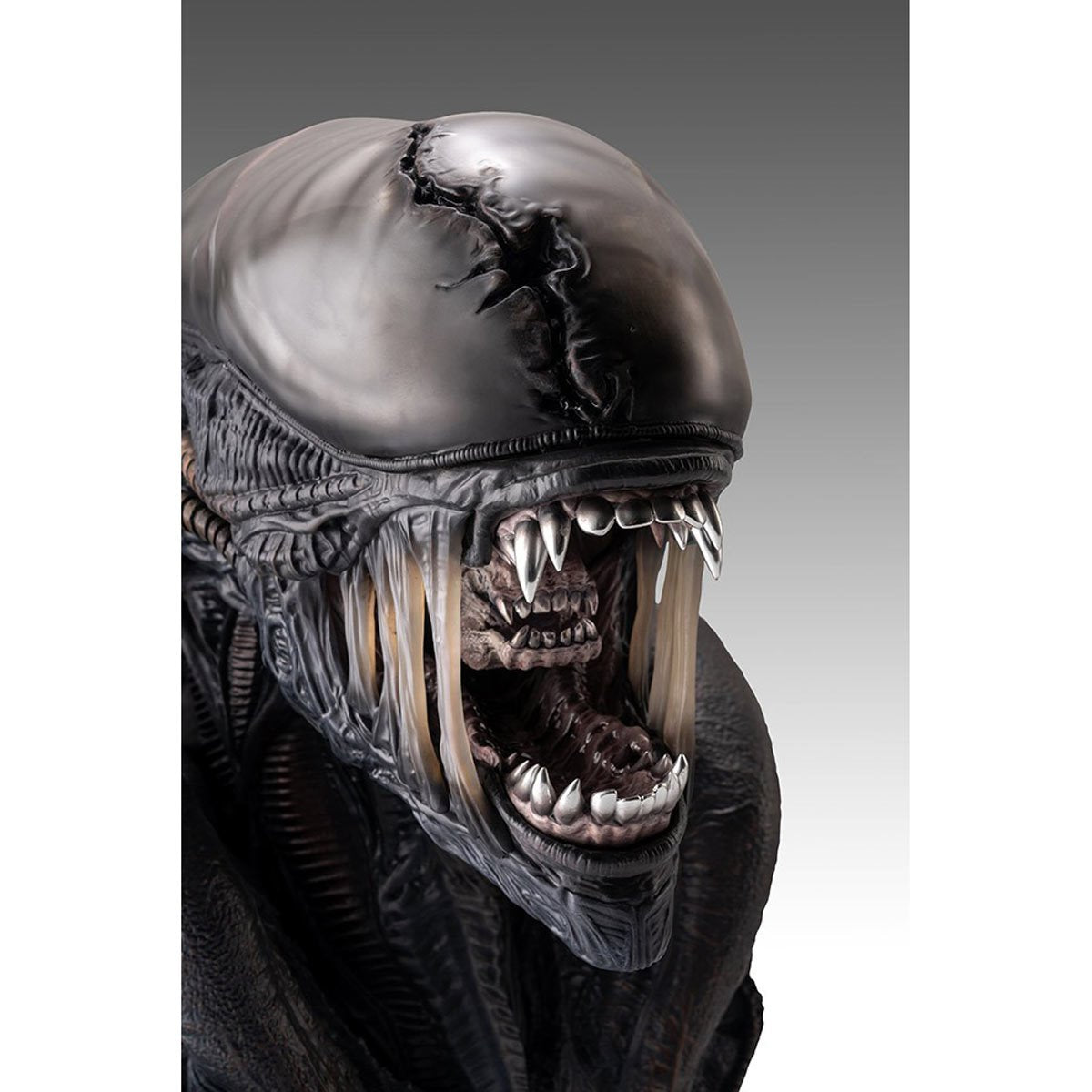 Alien Romulus Xenomorph 1:1 Scale Life-Size Bust