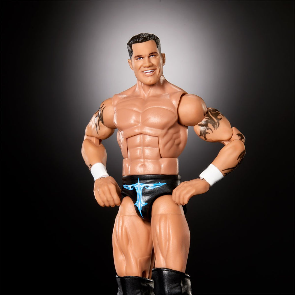 WWE Survivor Series Elite Action Figure Case of 5