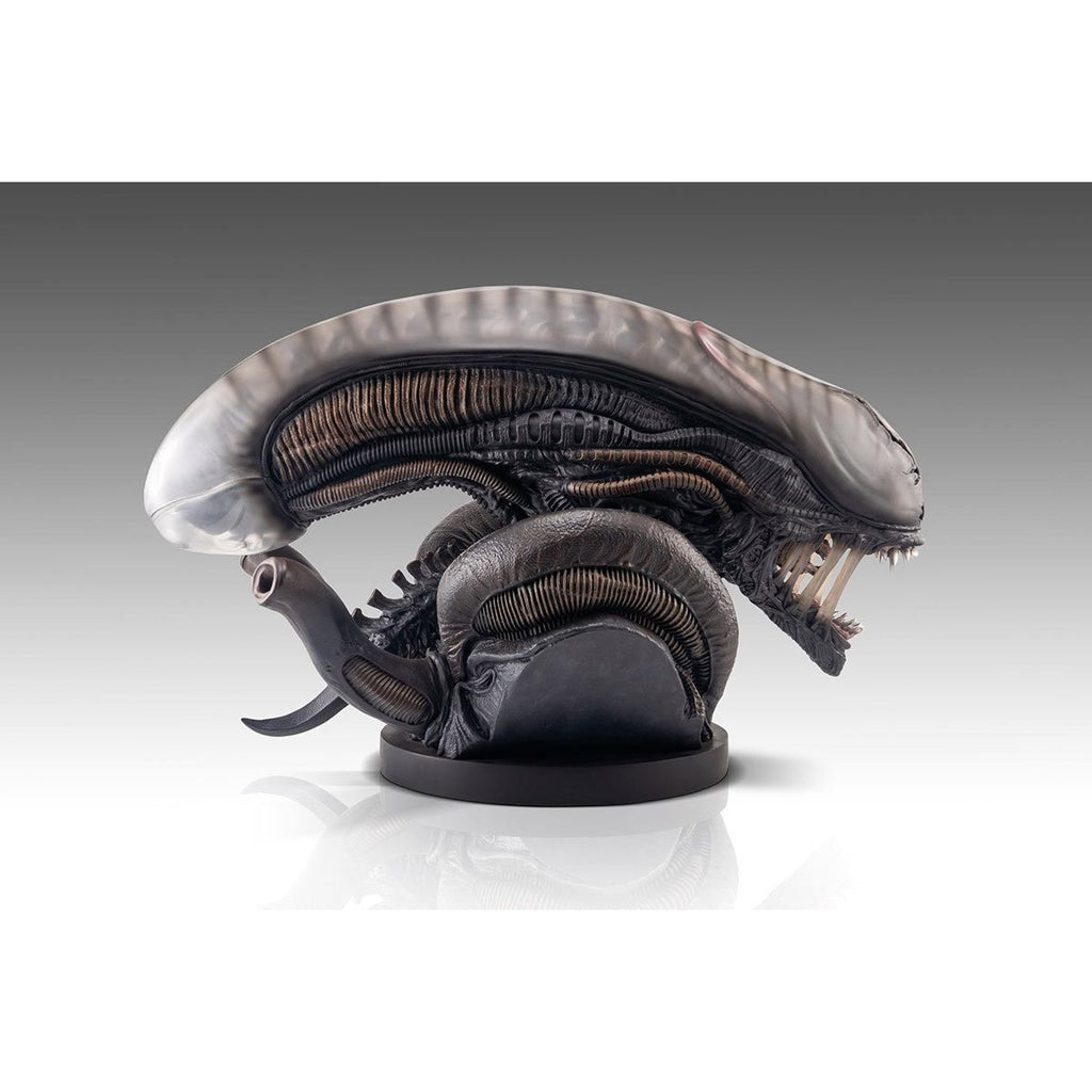 Alien Romulus Xenomorph 1:1 Scale Life-Size Bust