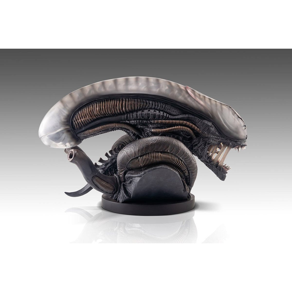 Alien Romulus Xenomorph 1:1 Scale Life-Size Bust