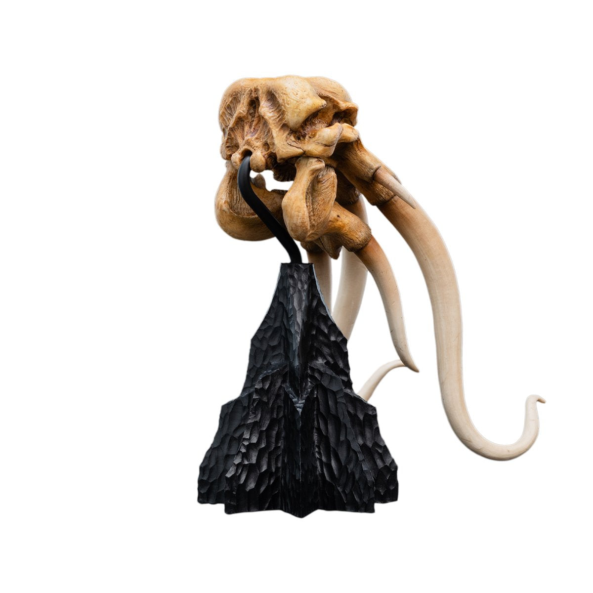 The Lord of the Rings Trilogy Skull of a Mumak Statue