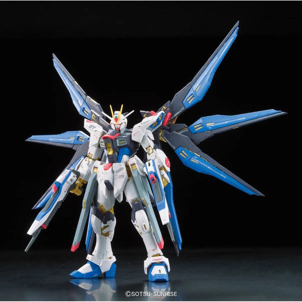 Mobile Suit Gundam Seed Destiny Strike Freedom Gundam Real Grade 1:144 Scale Model Kit