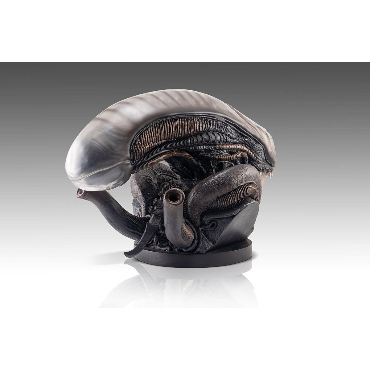 Alien Romulus Xenomorph 1:1 Scale Life-Size Bust