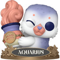 Zodiac Aquarius Funko Pop! Vinyl Figure #13