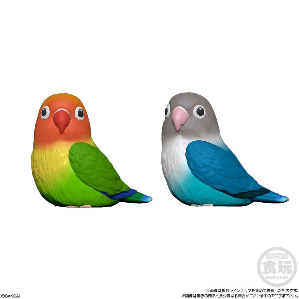Birds Series 4 Tenori Friends Mini-Figure Case of 12