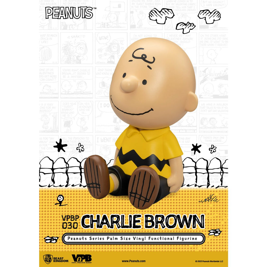 Peanuts Charlie Brown VPBP-030 Peanuts Series Palm Size Vinyl Functional Piggy Bank