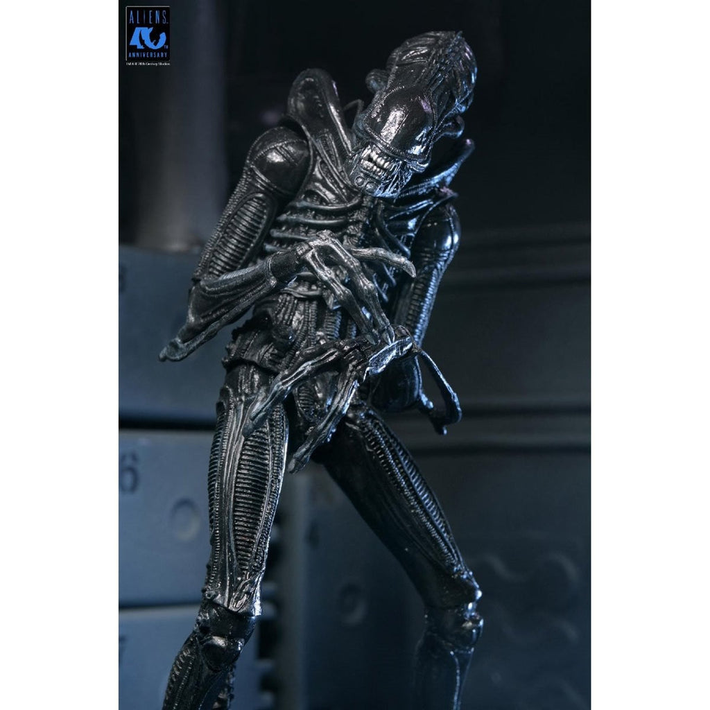 Aliens Ultimate Warrior Xenomorph (black) 40th Anniversary 7-Inch Scale Action Figure