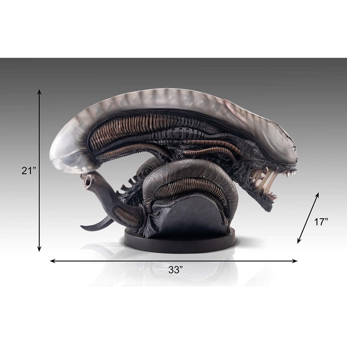 Alien Romulus Xenomorph 1:1 Scale Life-Size Bust
