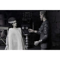 Universal Monsters Bride of Frankenstein 90th Ann. The Monster & His Mate (B&W Version) 7-In Scale Action Figure 2-Pack