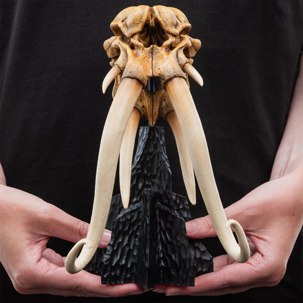 The Lord of the Rings Trilogy Skull of a Mumak Statue
