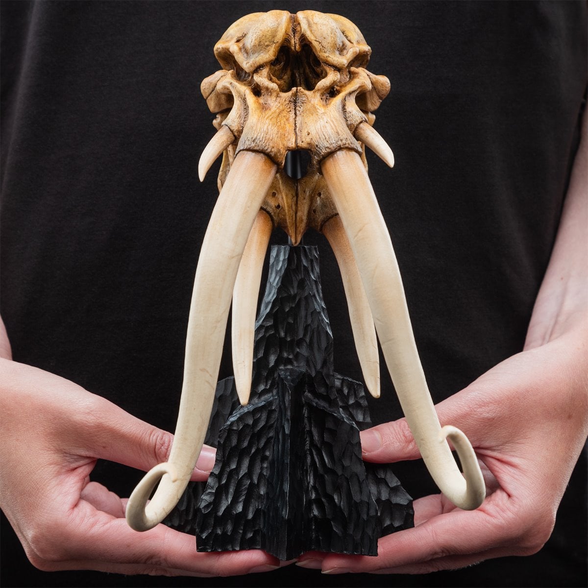 The Lord of the Rings Trilogy Skull of a Mumak Statue