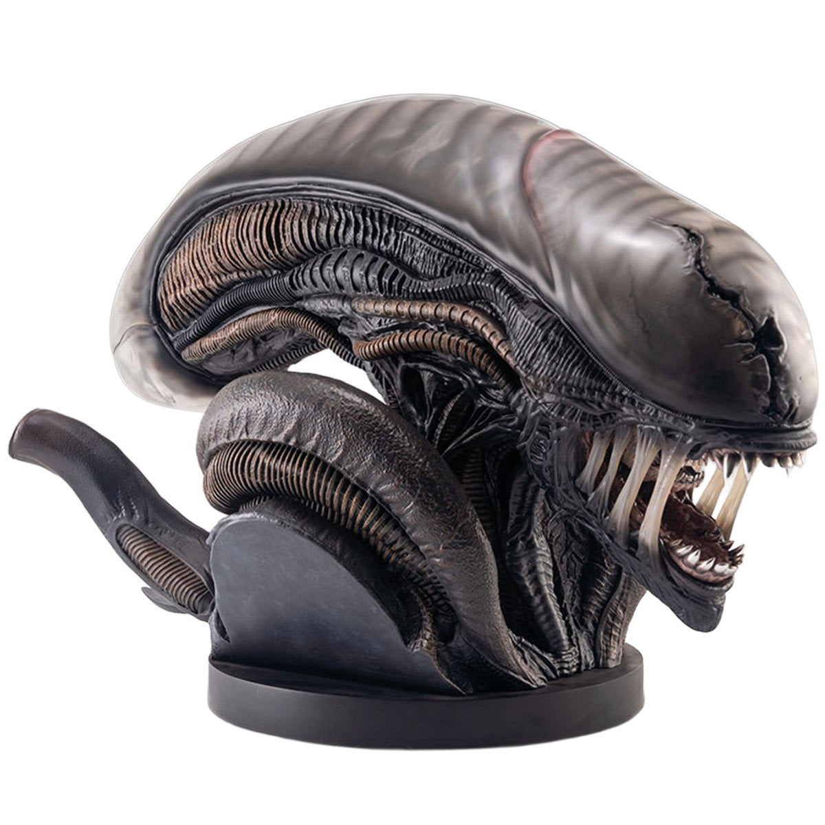 Alien Romulus Xenomorph 1:1 Scale Life-Size Bust