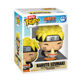 Naruto: Shippuden Ichiraku Ramen Funko Bitty Pop! Town