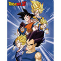 Dragon Ball Z Goku, Vegeta, and Vegito Sublimation Throw Blanket