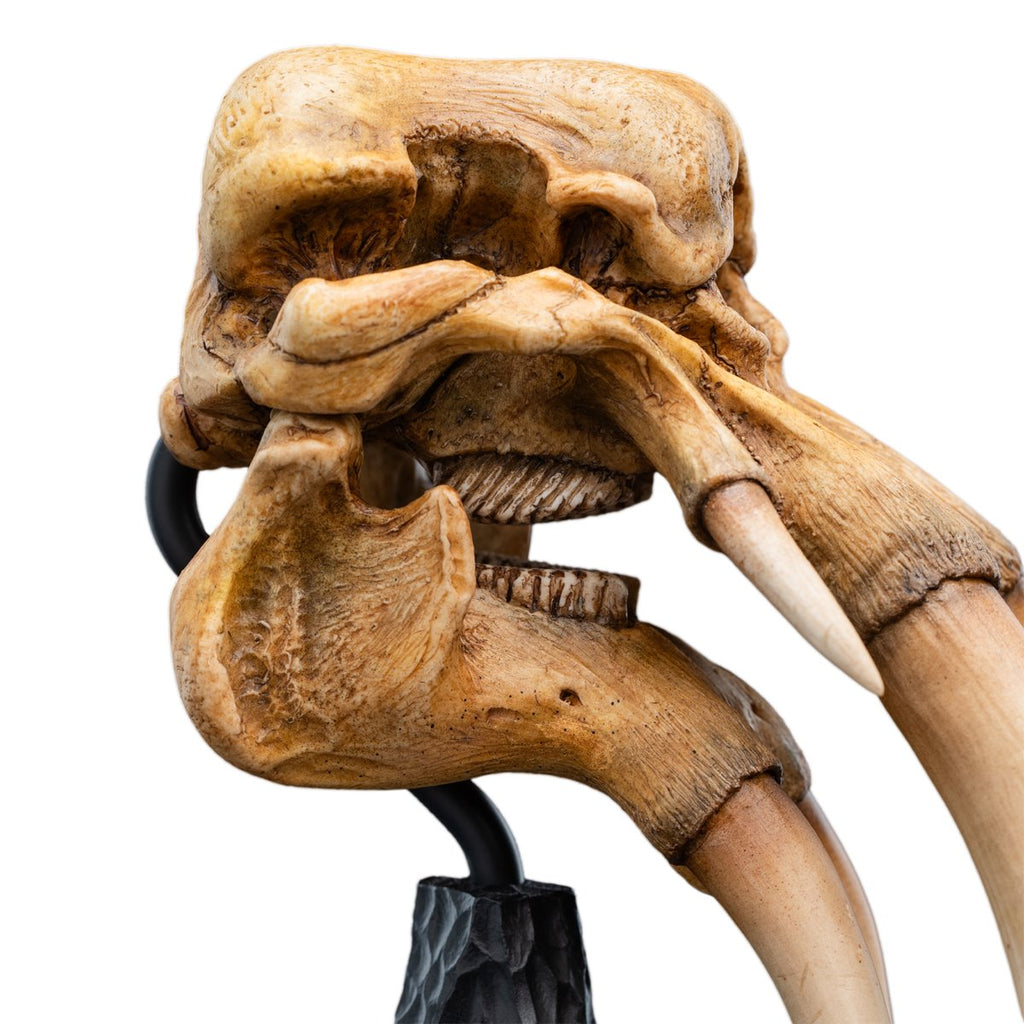 The Lord of the Rings Trilogy Skull of a Mumak Statue