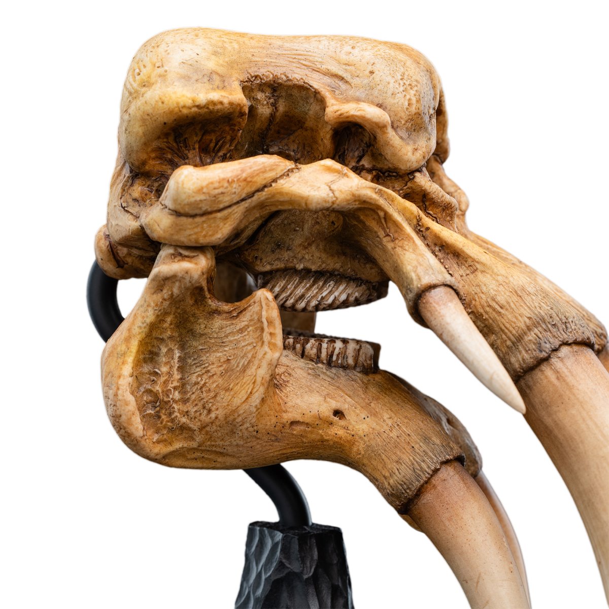 The Lord of the Rings Trilogy Skull of a Mumak Statue