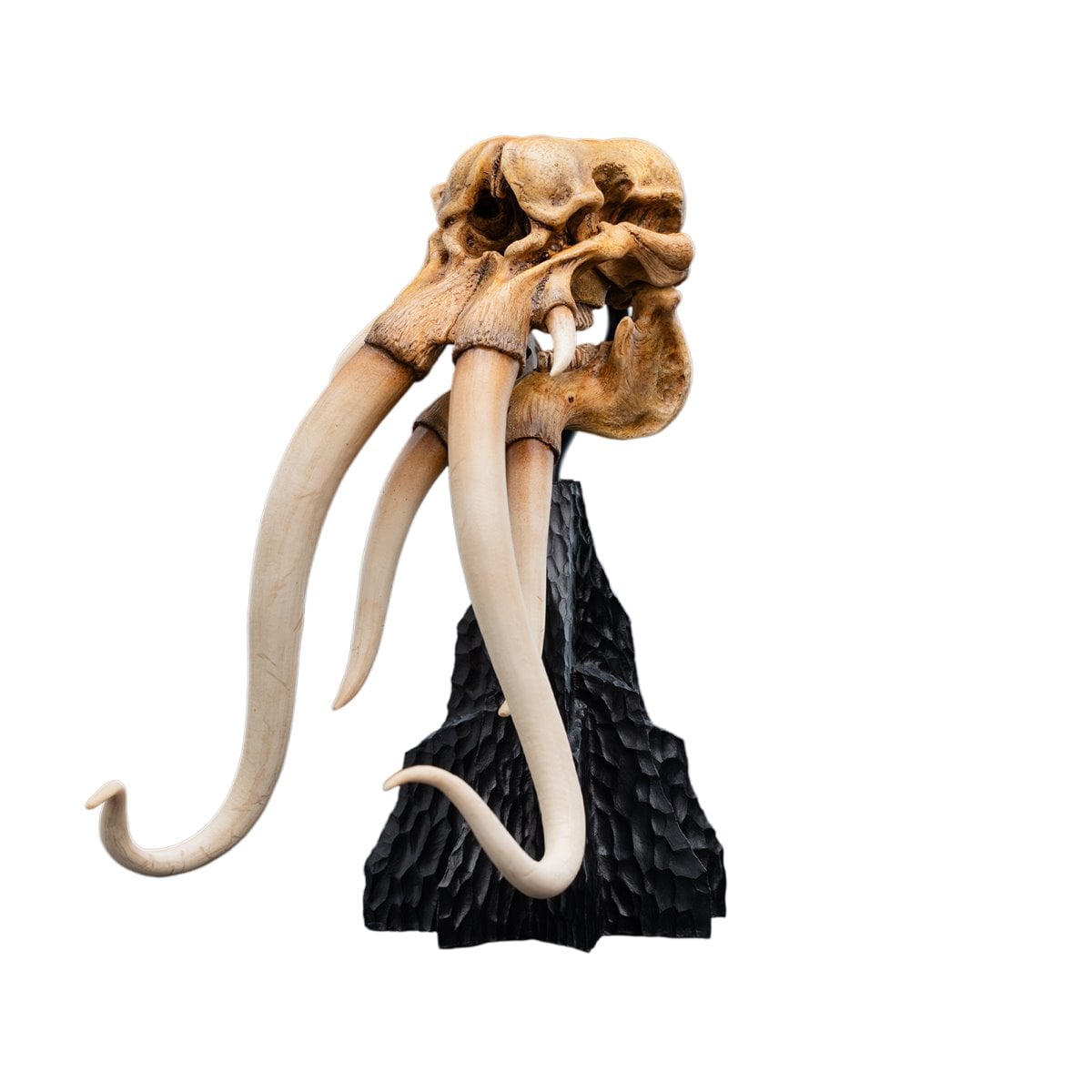 The Lord of the Rings Trilogy Skull of a Mumak Statue