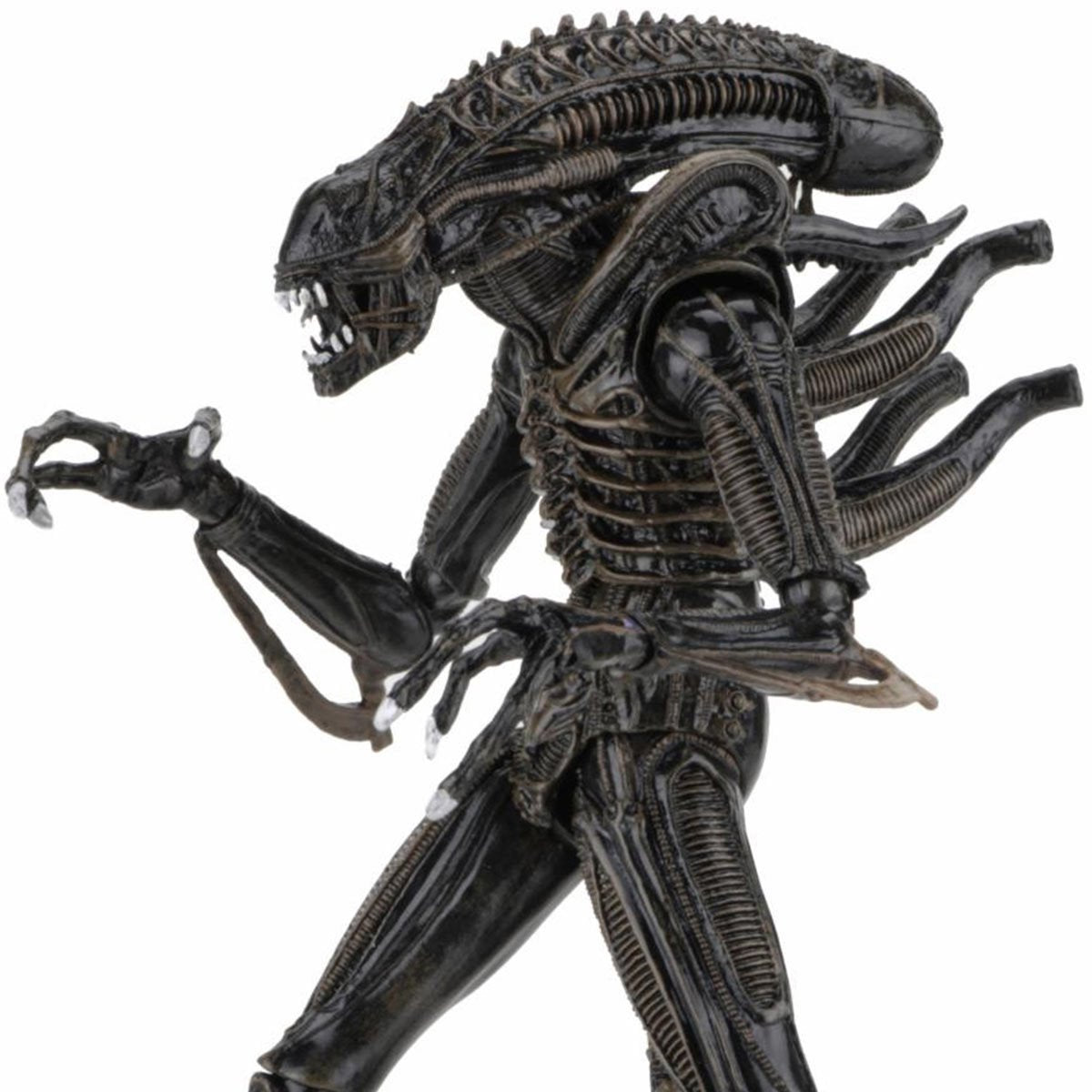 Aliens Ultimate Aliens Warrior (1986) Brown 7-Inch Scale Action Figure