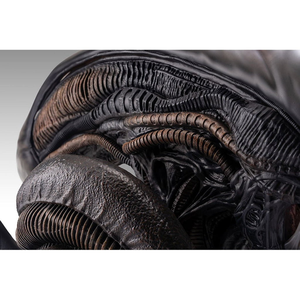 Alien Romulus Xenomorph 1:1 Scale Life-Size Bust