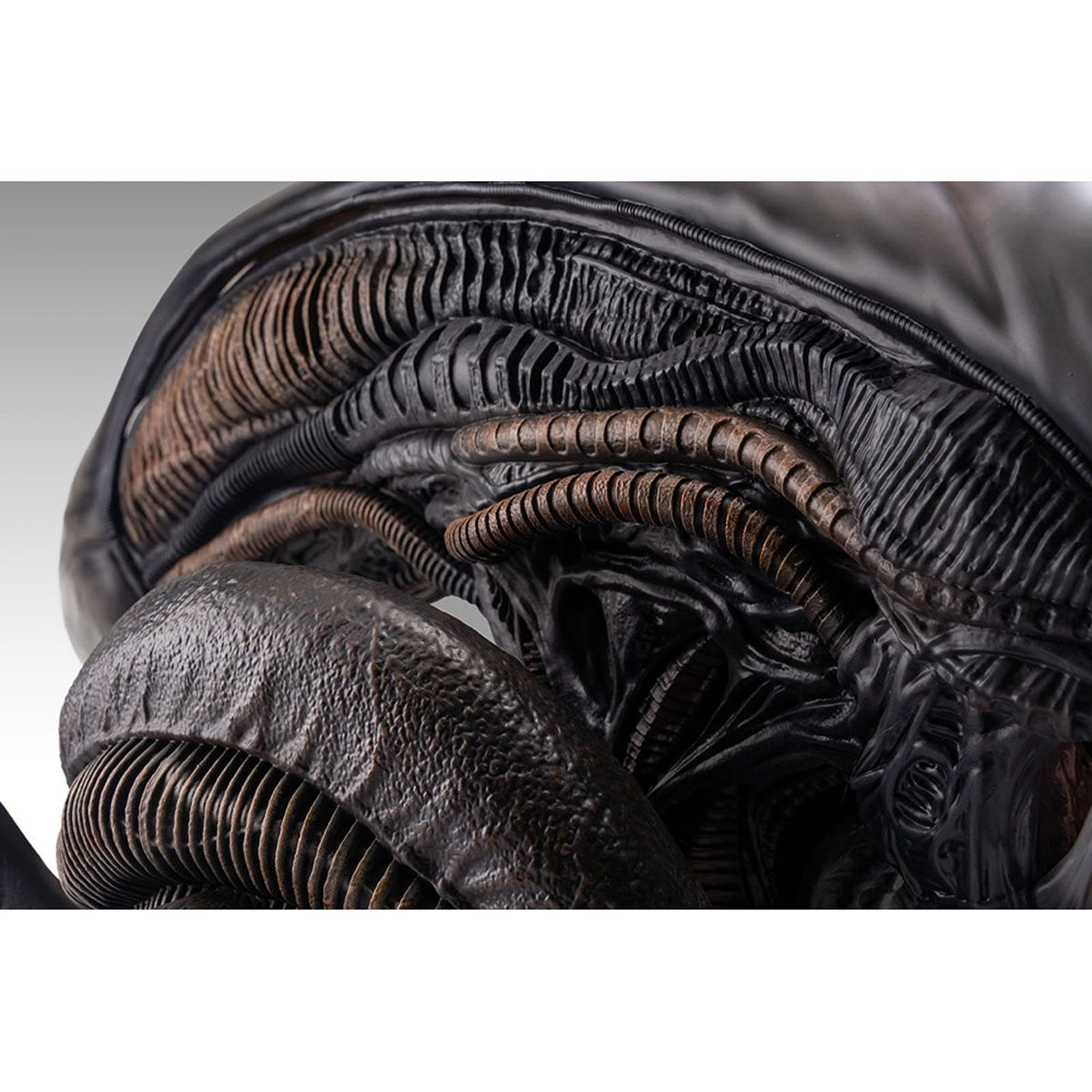 Alien Romulus Xenomorph 1:1 Scale Life-Size Bust