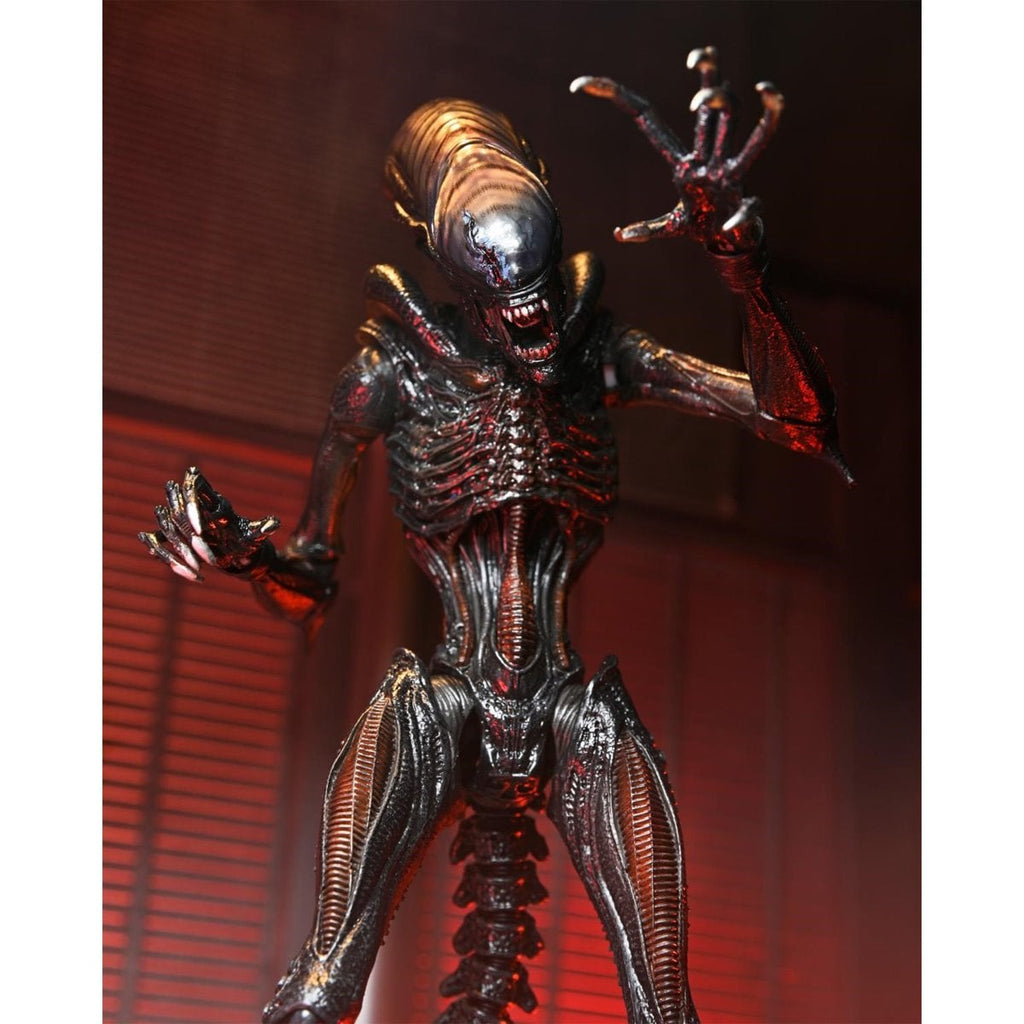 Alien: Romulus Ultimate Scorched Xenomorph 7-Inch Scale Action Figure