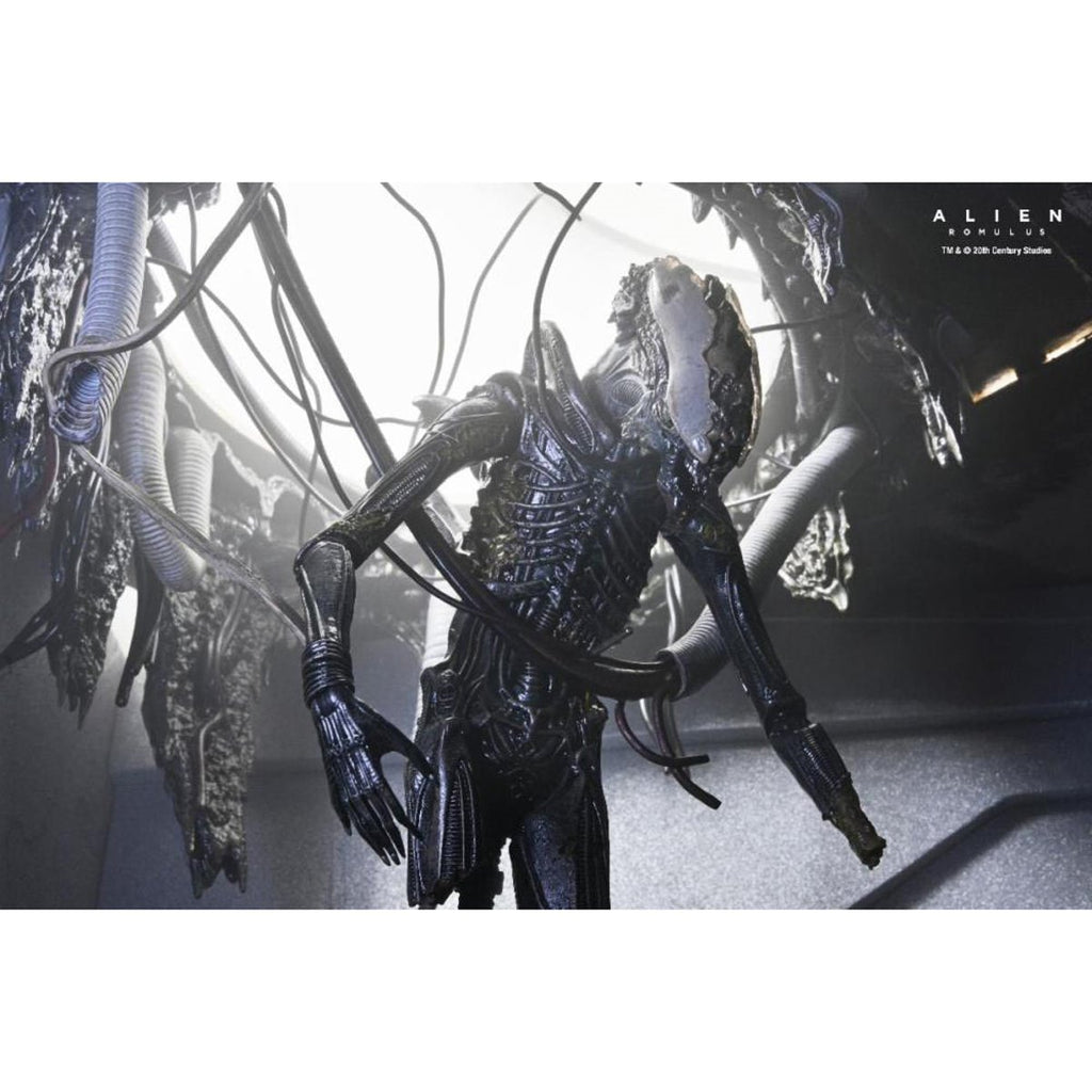 Alien: Romulus Suspended Lab Xenomorph XX121 7-Inch Scale Deluxe Action Figure