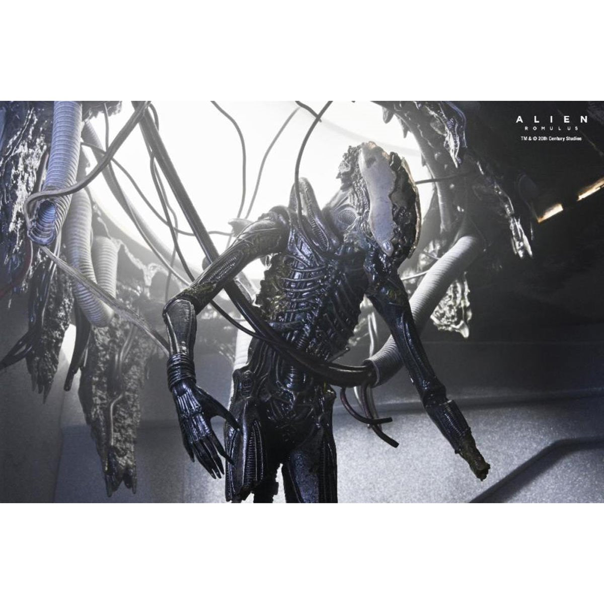 Alien: Romulus Suspended Lab Xenomorph XX121 7-Inch Scale Deluxe Action Figure