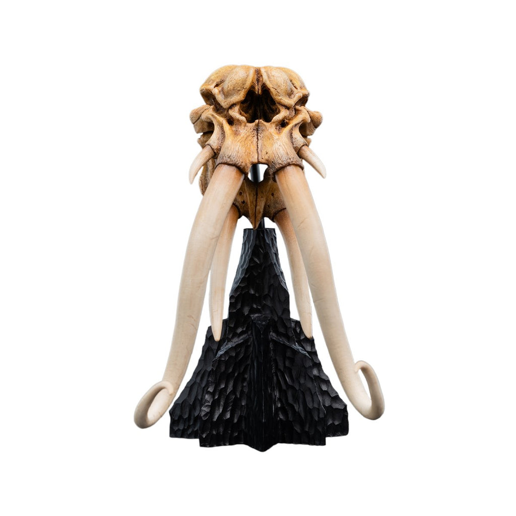 The Lord of the Rings Trilogy Skull of a Mumak Statue