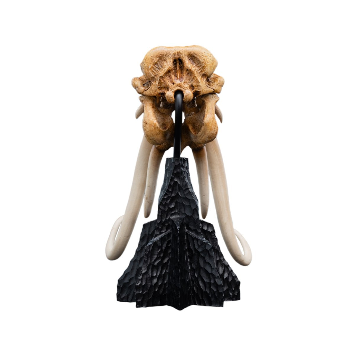 The Lord of the Rings Trilogy Skull of a Mumak Statue