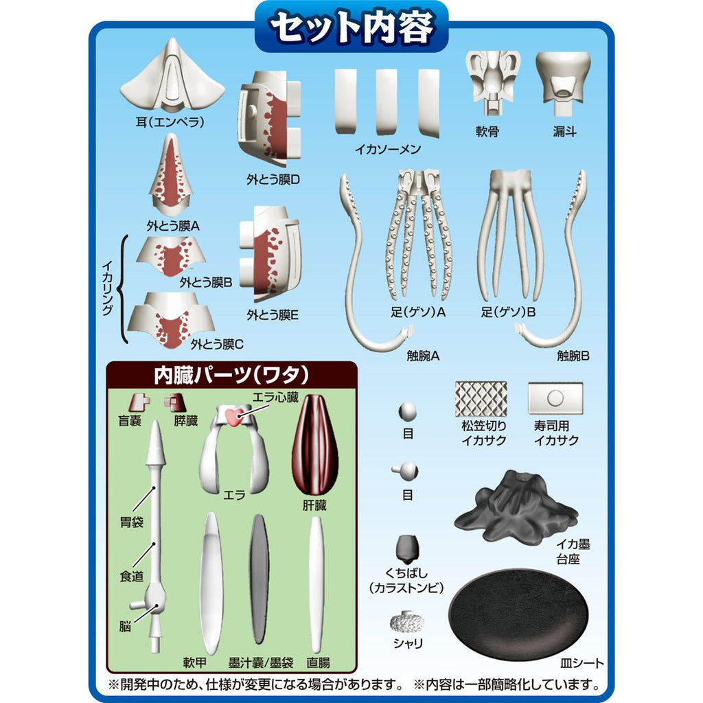 Squid Kaitai Puzzle