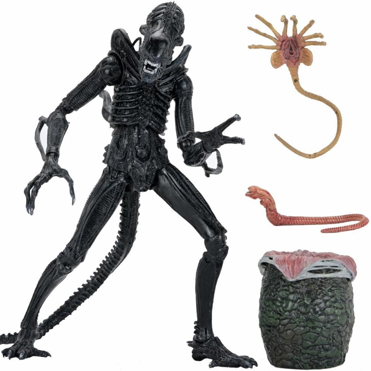 Aliens Ultimate Warrior Xenomorph (black) 40th Anniversary 7-Inch Scale Action Figure