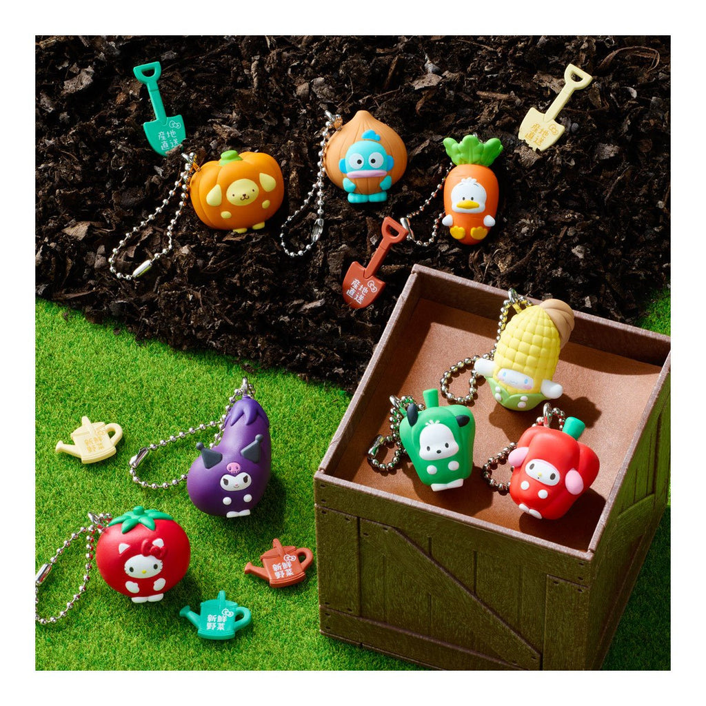 Hello Kitty and Friends Shokugan Box Wave 3 Key Chain Case of 12