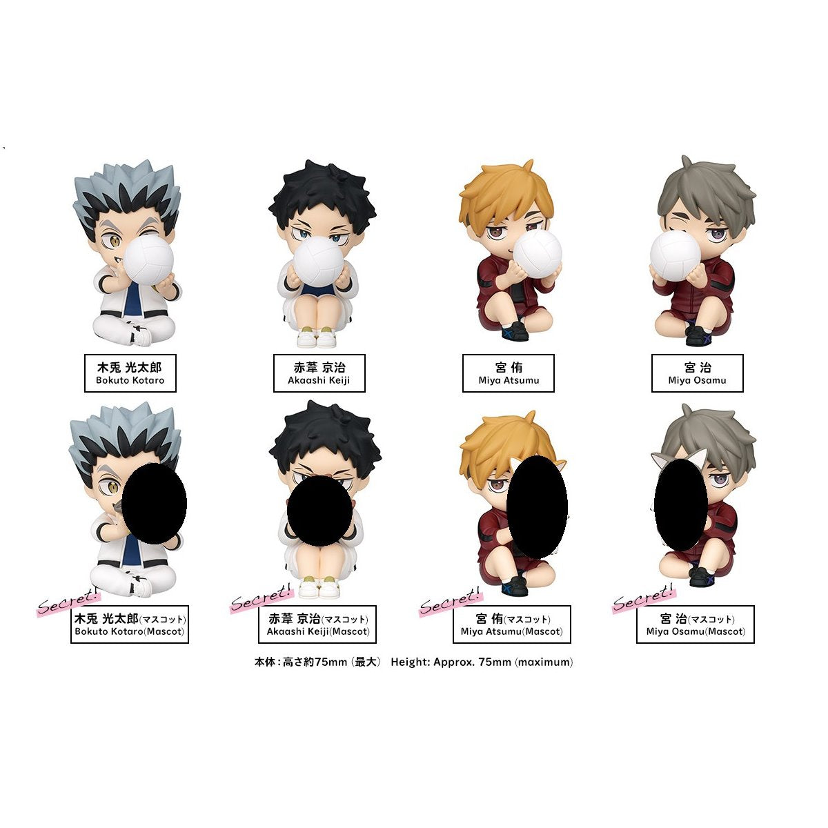 Haikyu!! Fukurodani Gakuen Hide & Seek Perihapi Blind Box Display Tray of 8