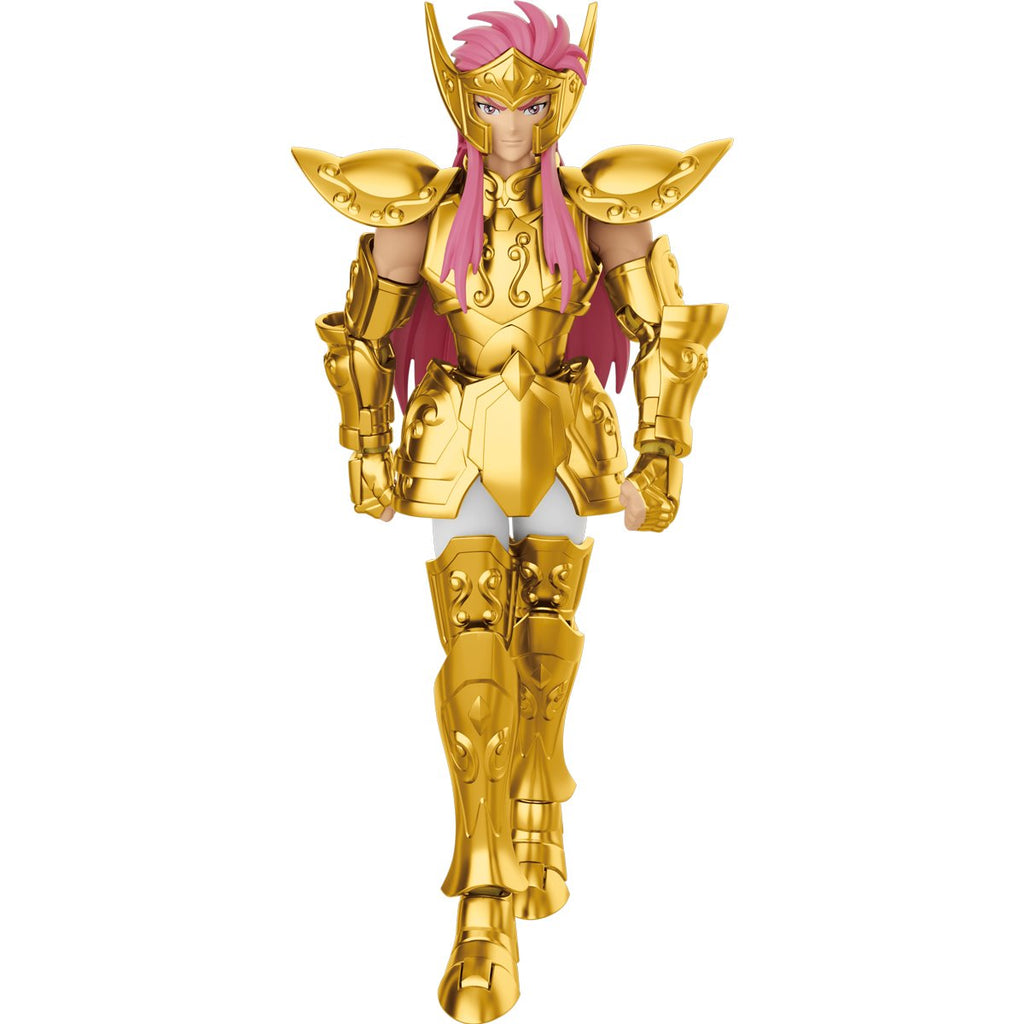Saint Seiya Champion Class Aquarius Camus CC08 Blokees Model Kit