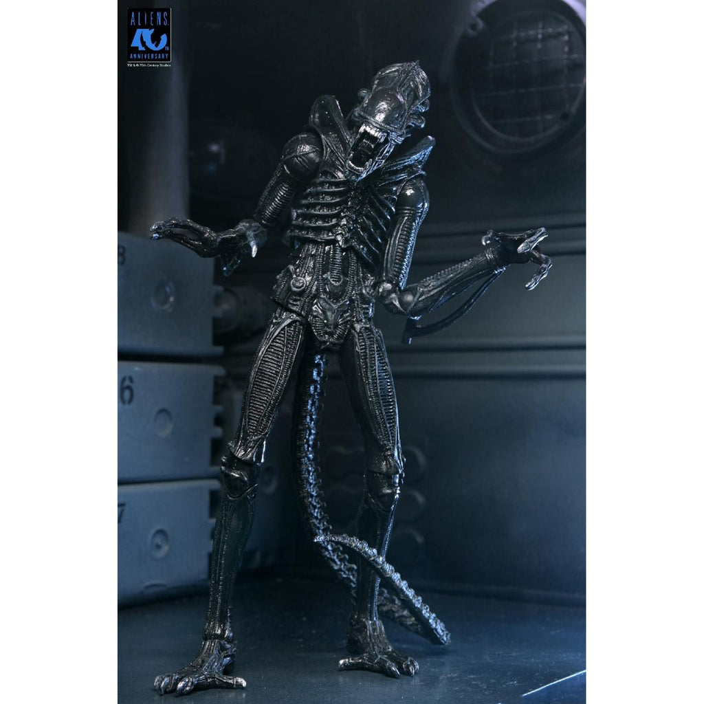 Aliens Ultimate Warrior Xenomorph (black) 40th Anniversary 7-Inch Scale Action Figure