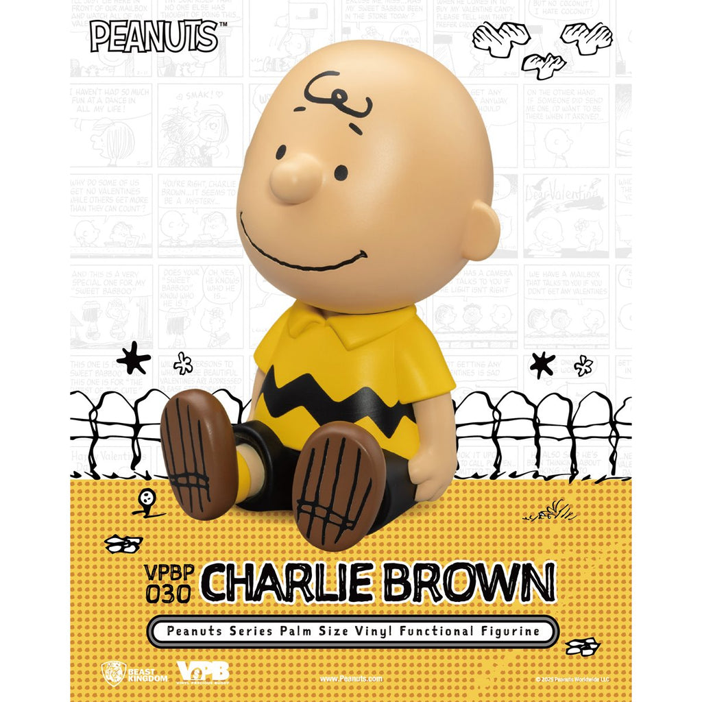 Peanuts Charlie Brown VPBP-030 Peanuts Series Palm Size Vinyl Functional Piggy Bank