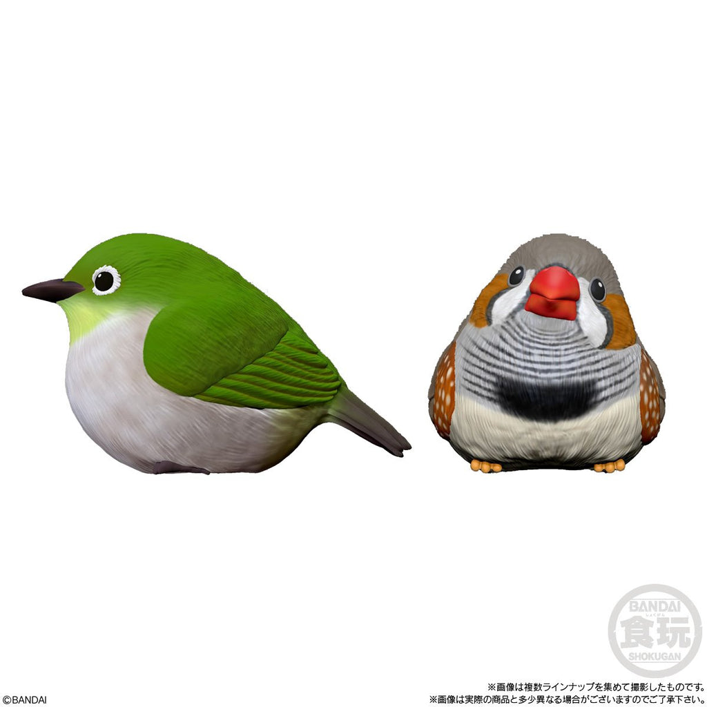 Birds Series 4 Tenori Friends Mini-Figure Case of 12