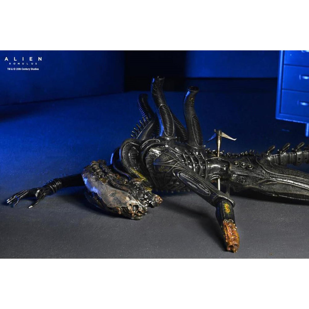 Alien: Romulus Suspended Lab Xenomorph XX121 7-Inch Scale Deluxe Action Figure