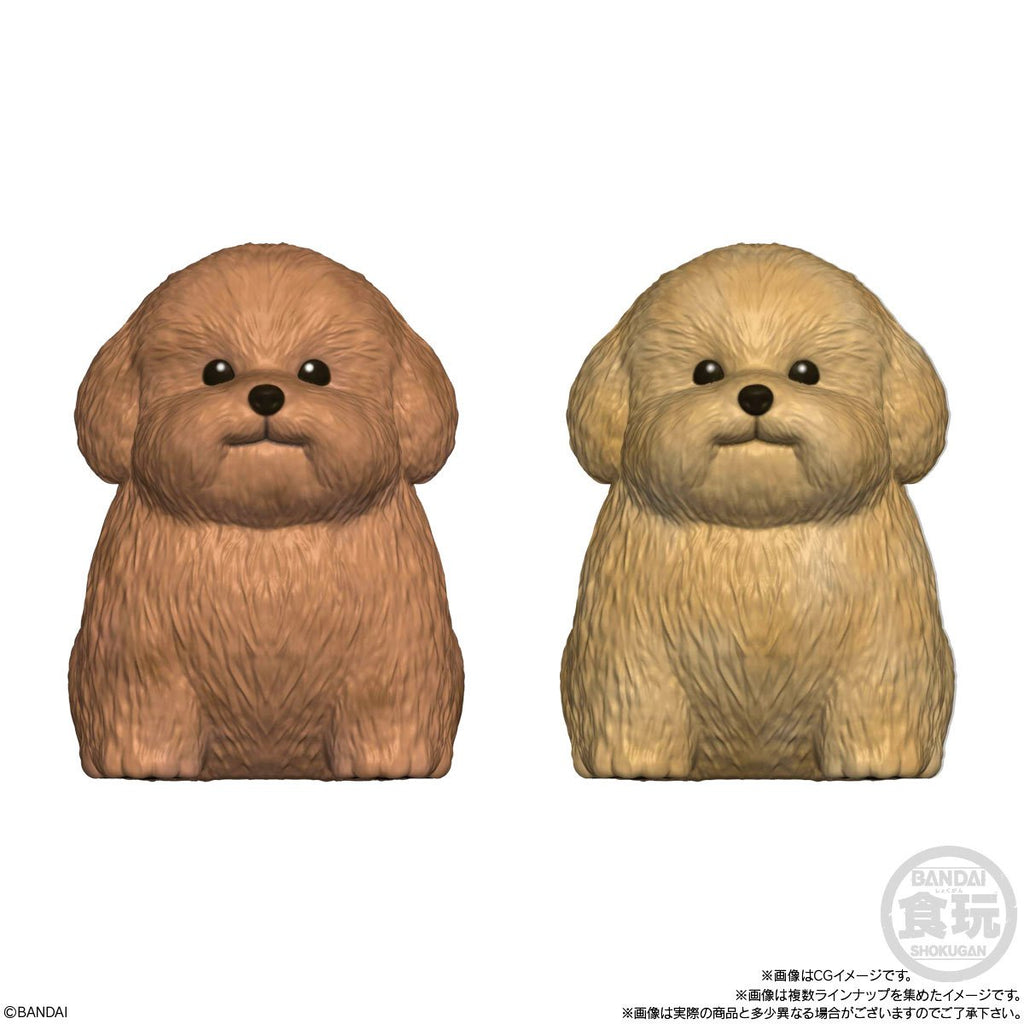 Mocchiri Kororin Dogs Mini-Figure Case of 12