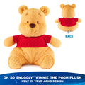 Disney Winnie the Pooh Pooh Oh So Snuggly 12 1/2-Inch Plush