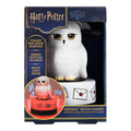 Harry Potter Hedwig Room Guard
