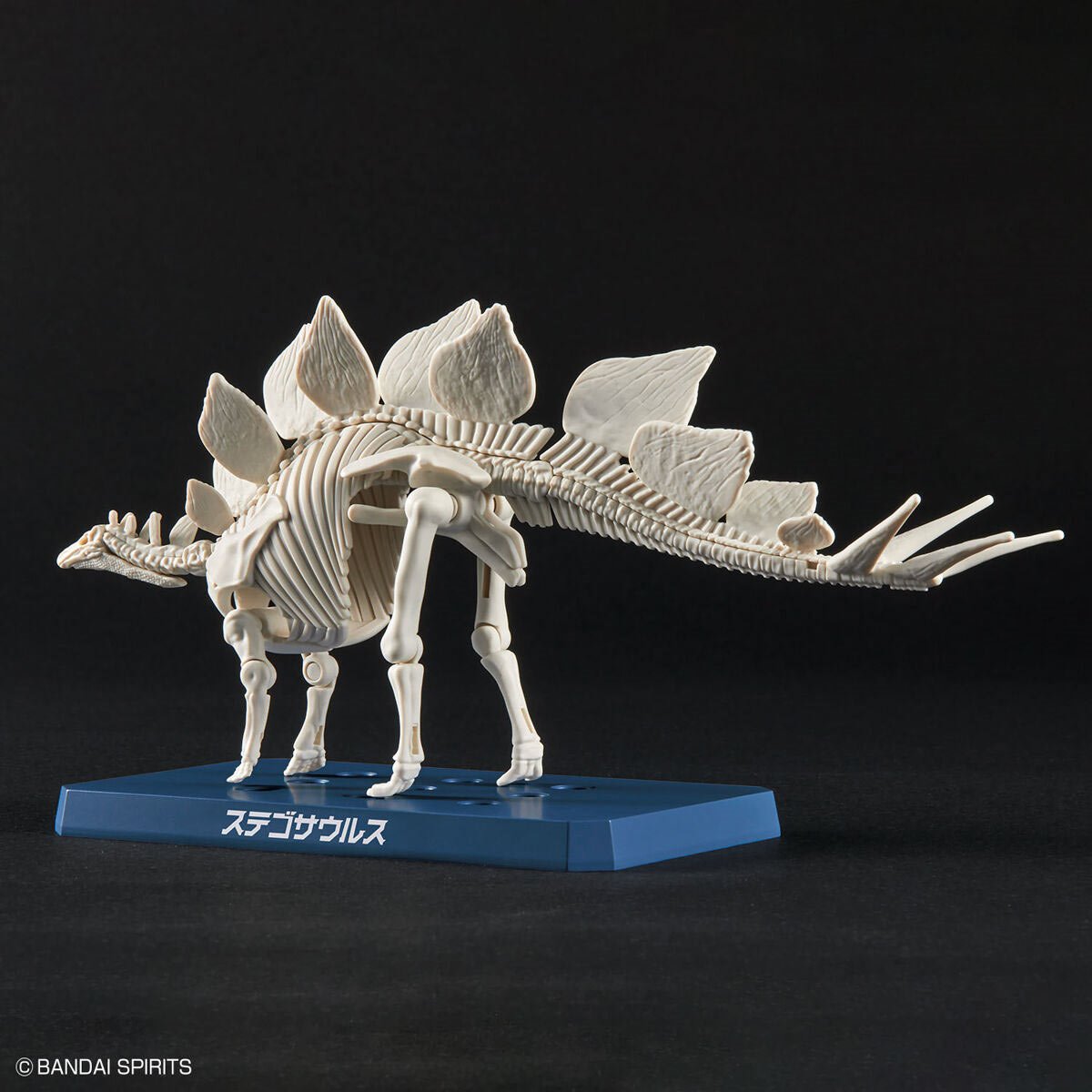 Dinosaur Stegosaurus Plannosaurus Plastic Model Kit