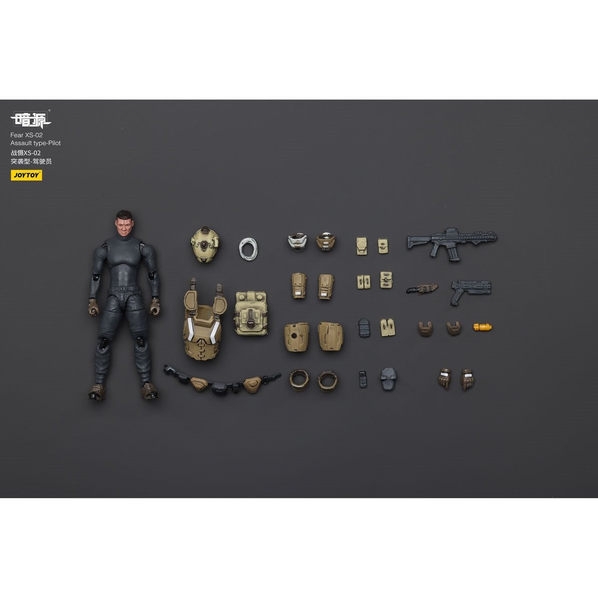 Joy Toy Battle for the Stars XS-02 Assault Type Pilot Action Figure